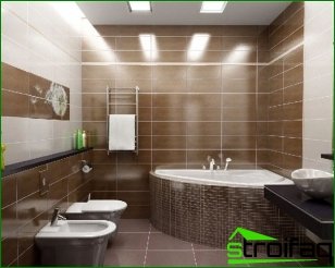 Rekommendationer för att välja ett material för badrumsreparation