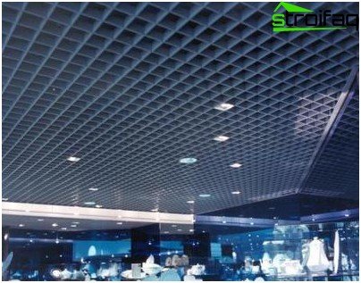 Mesh suspended ceiling