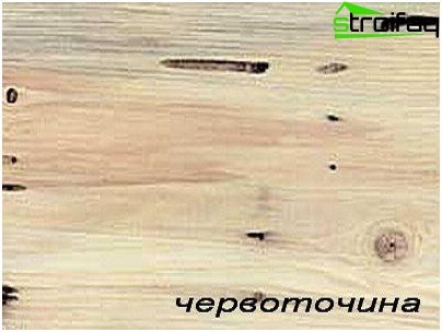 Schade aan hout door ongedierte