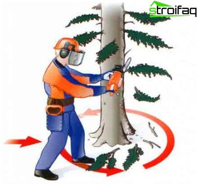 كيفية قطع شجرة