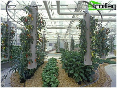 aeroponics-system