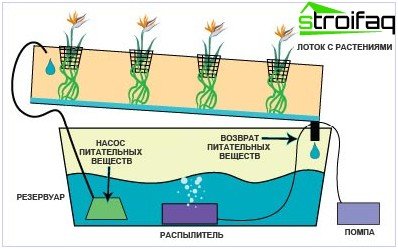 الزراعة المائية