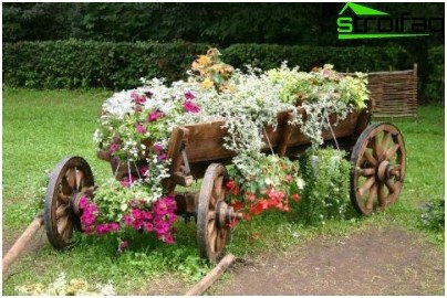 interessant blomsterbed