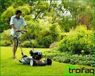 How to choose a lawn mower