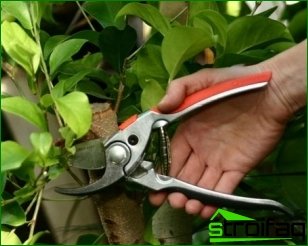 Инструменти за грижа за градината
