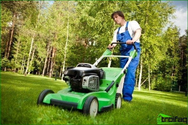 How to choose a lawn mower