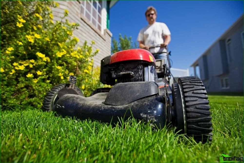 How to choose a lawn mower