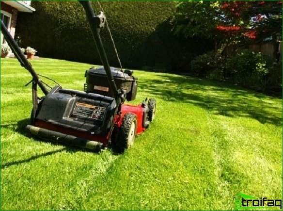 How to choose a lawn mower