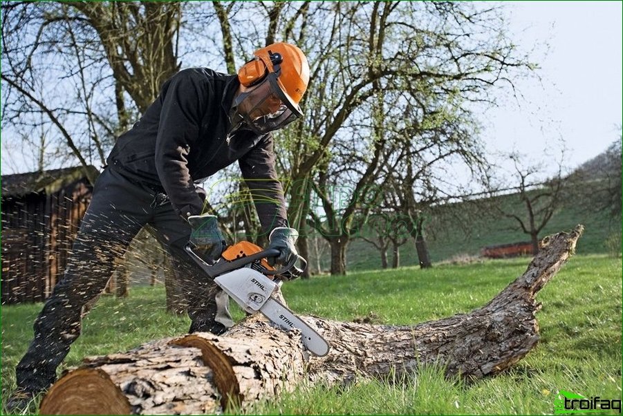 STIHL Chainsaws and Accessories