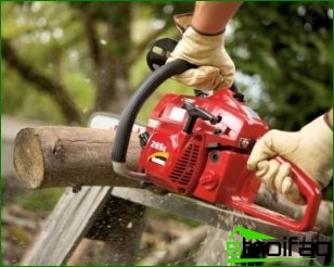 The basics of operating a chainsaw