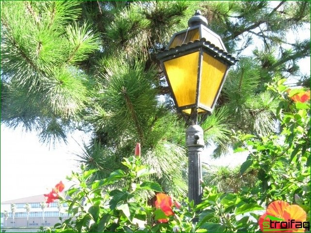 أنواع مختلفة من أضواء الحديقة