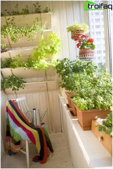 Garden design on the balcony with entrance from the kitchen