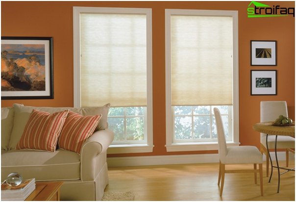 Roller blinds - 4