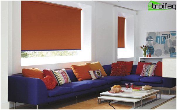 Roller blinds - 13