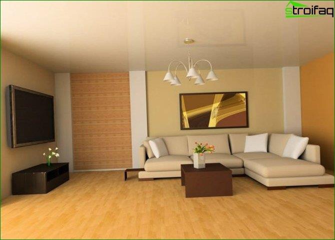 Living Room Design Photo