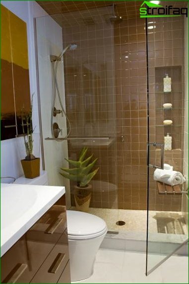 Shower cubicle in the combined bathroom