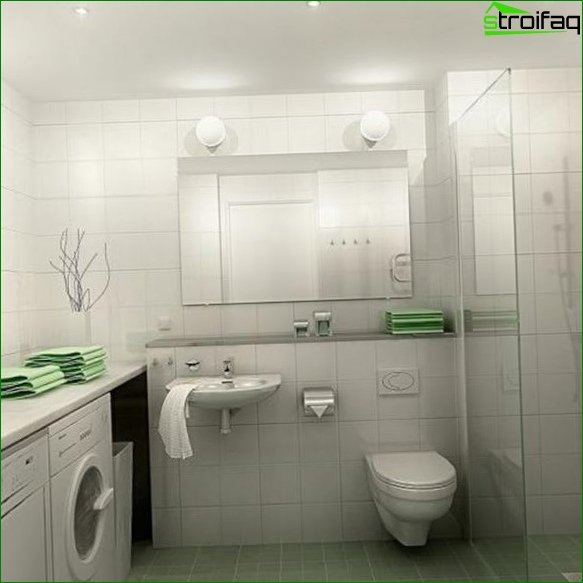 Large Area Toilet Design