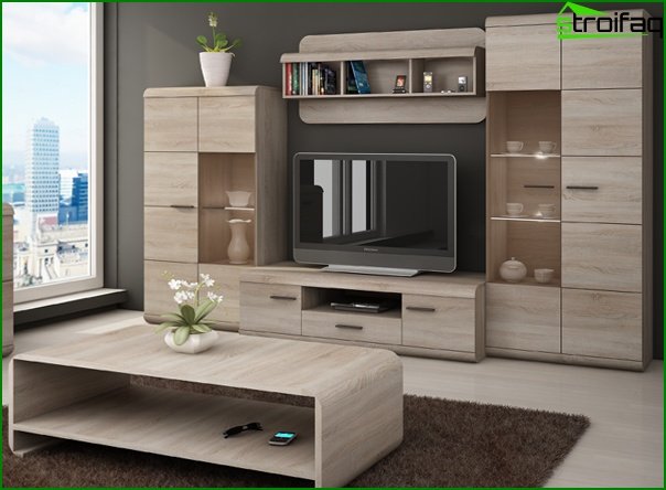 Living Room Furniture (modules) - 2