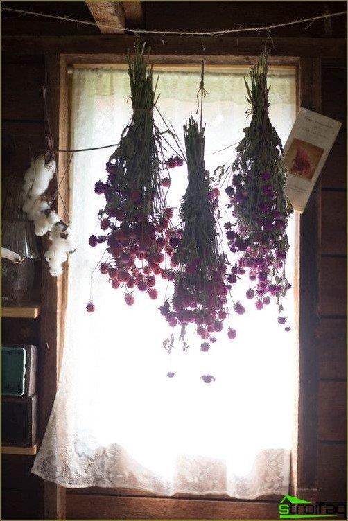 Flori în bucătărie - fotografie